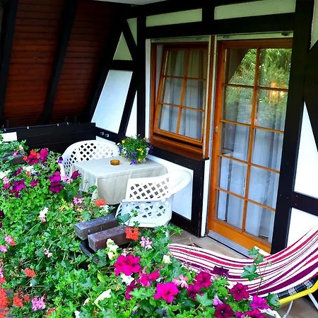 Haus Bachschwalbe Apartment Sasbachwalden Room photo