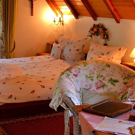 Haus Bachschwalbe Apartment Sasbachwalden Room photo