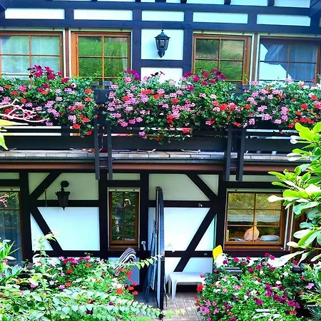 Haus Bachschwalbe Apartment Sasbachwalden Room photo
