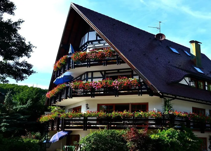 Haus Bachschwalbe